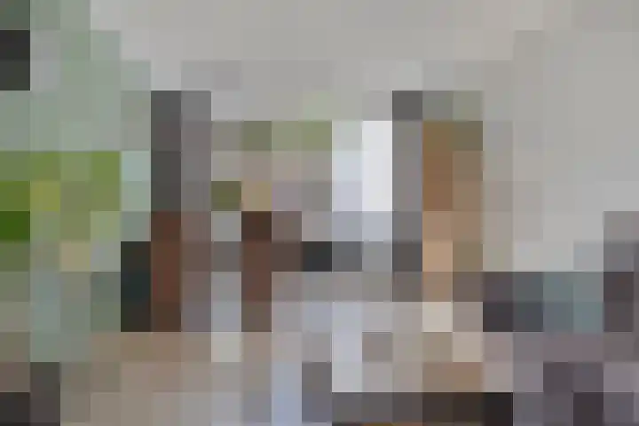 Grootveenweg 13 Norg thumbnail 21