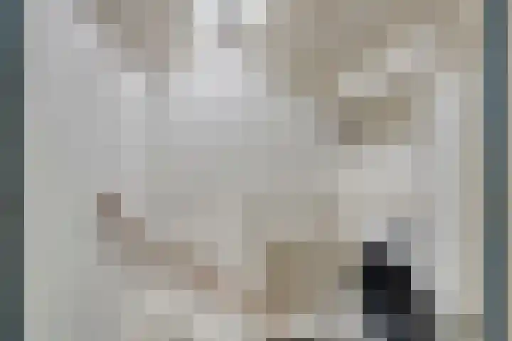 Grootveenweg 13 Norg thumbnail 38