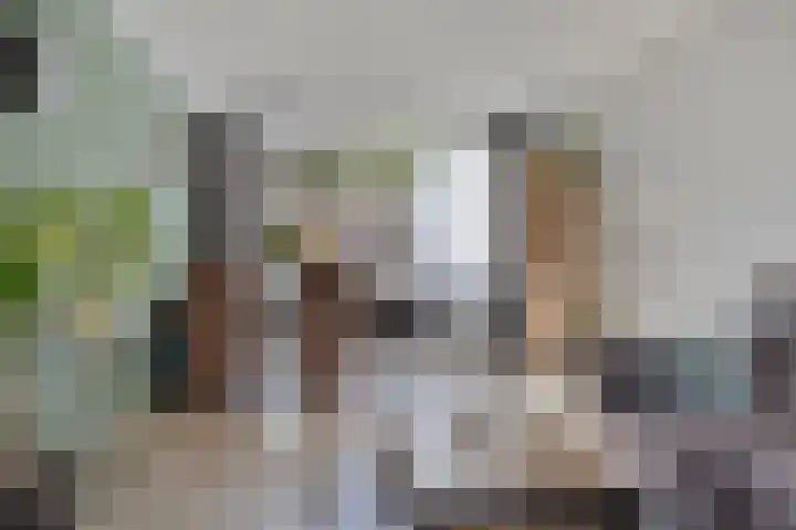Grootveenweg 13 Norg thumbnail 4