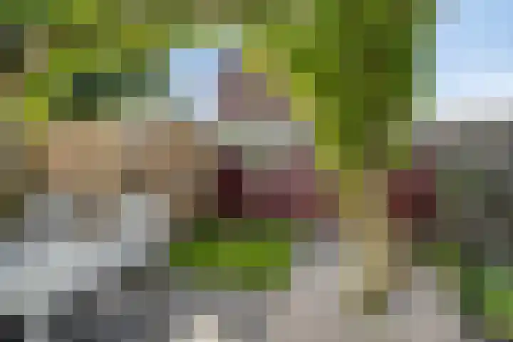 Grootveenweg 13 Norg thumbnail 40