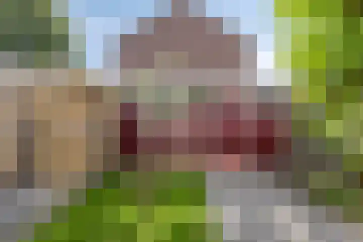 Grootveenweg 13 Norg thumbnail 41