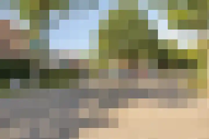 Grootveenweg 13 Norg thumbnail 45