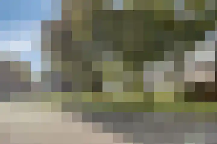 Grootveenweg 13 Norg thumbnail 46