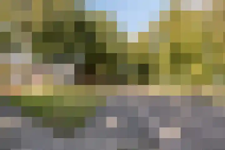 Grootveenweg 13 Norg thumbnail 47