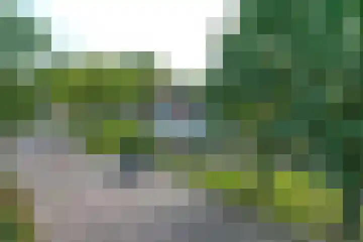 Grootveenweg 13 Norg thumbnail 48