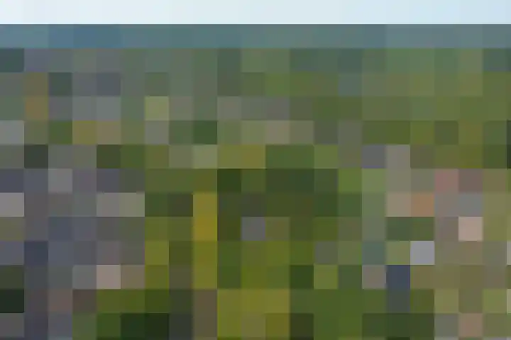 Grootveenweg 13 Norg thumbnail 49