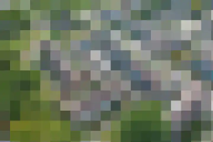 Grootveenweg 13 Norg thumbnail 50
