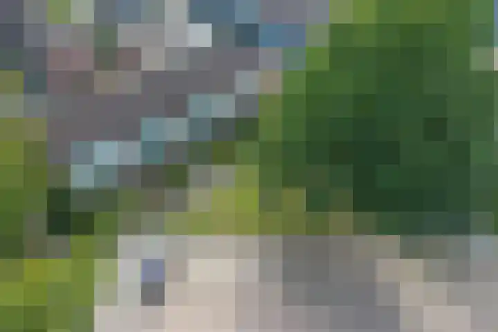 Grootveenweg 13 Norg thumbnail 51