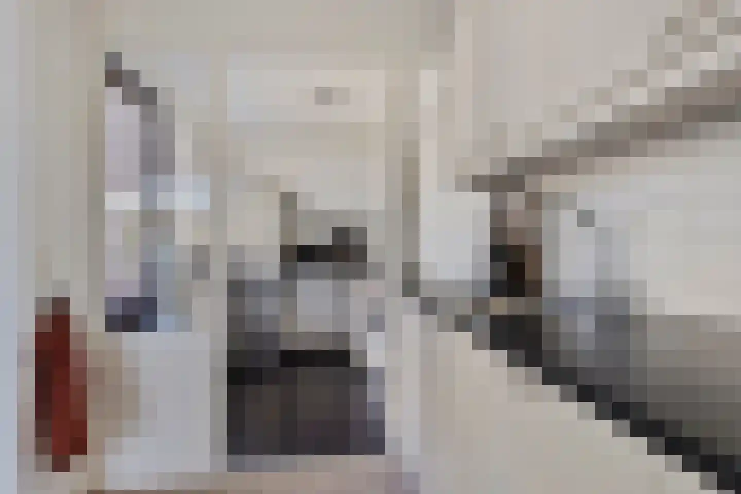 Grootveenweg 15 Norg thumbnail 12