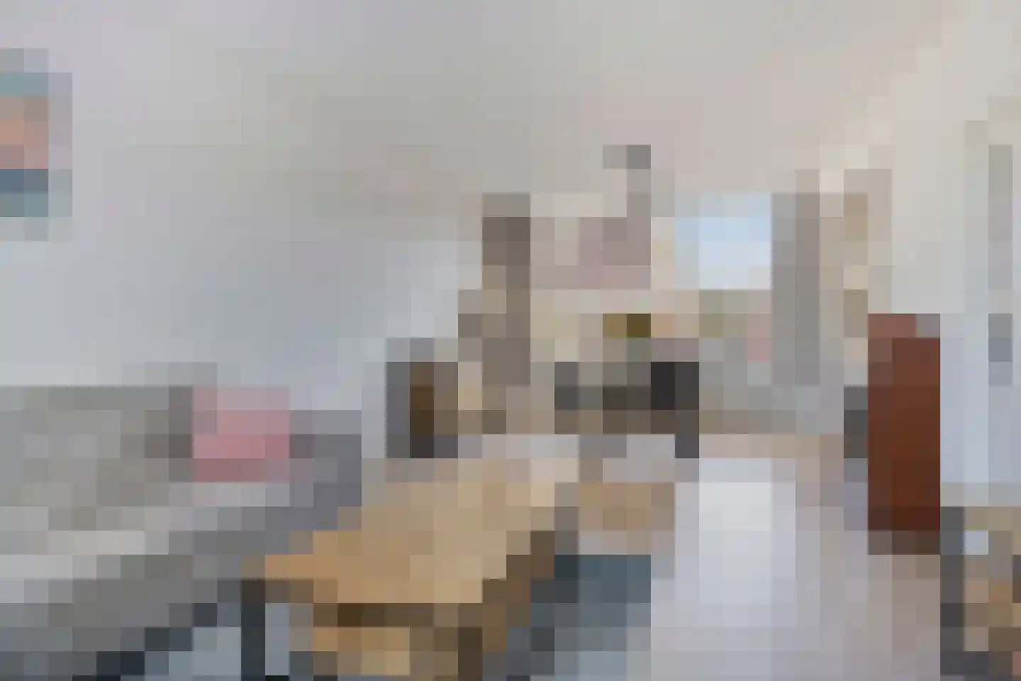 Grootveenweg 15 Norg thumbnail 5