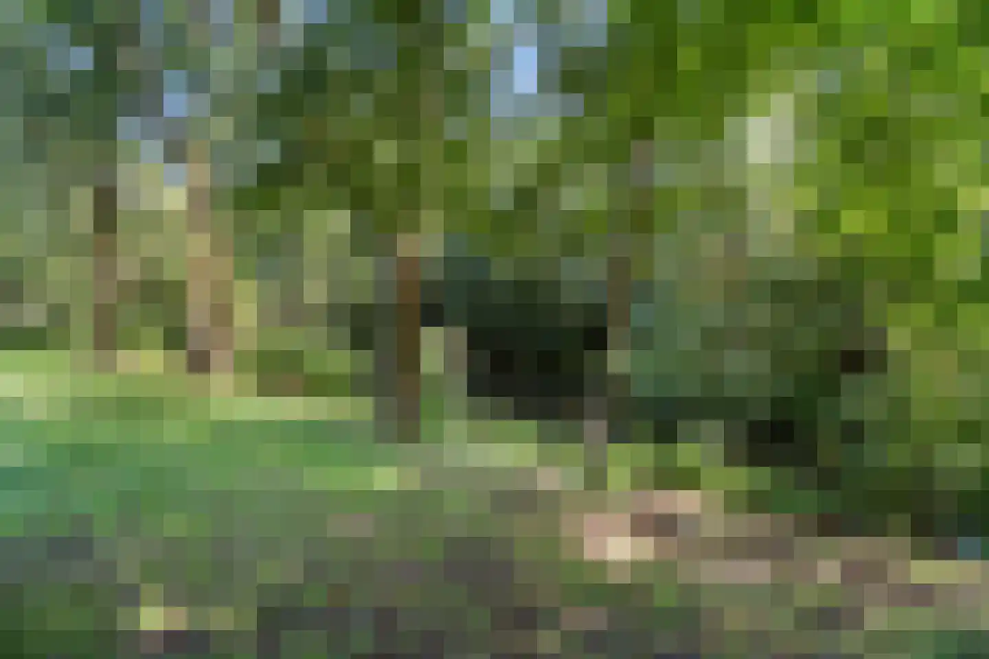 Grootveld 57 Ede thumbnail 36