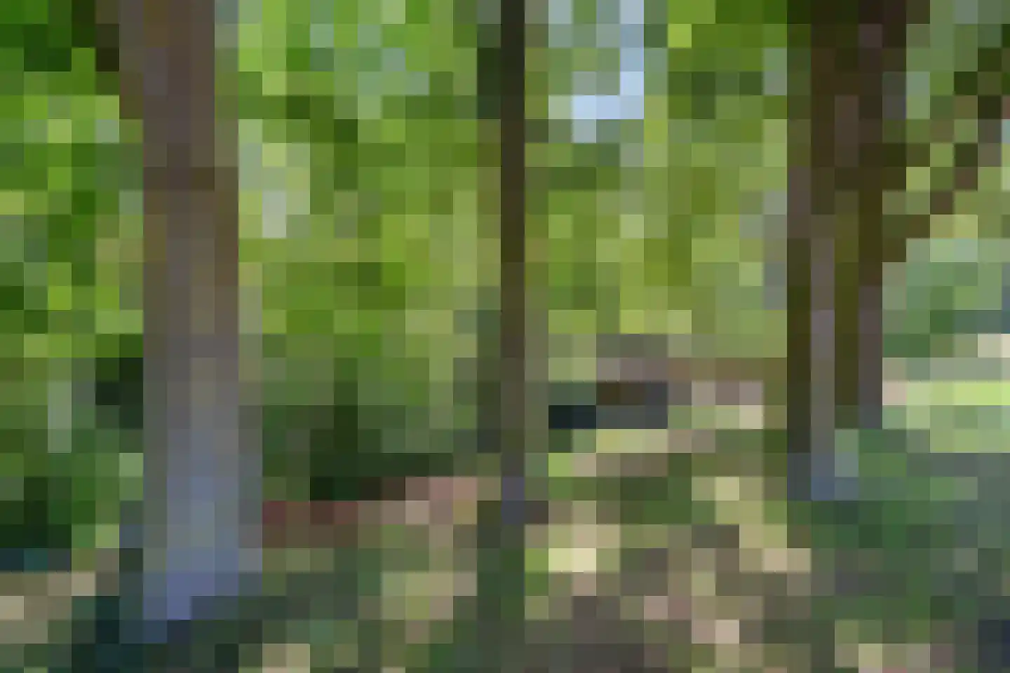 Grootveld 57 Ede thumbnail 37