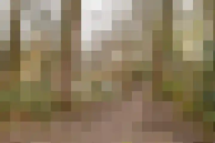 Grootveld 63 Ede thumbnail 41