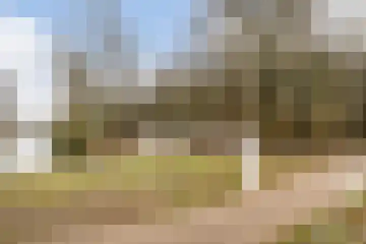 Grootveld 63 Ede thumbnail 42