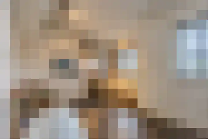 Grootveld 65 Boekel thumbnail 15