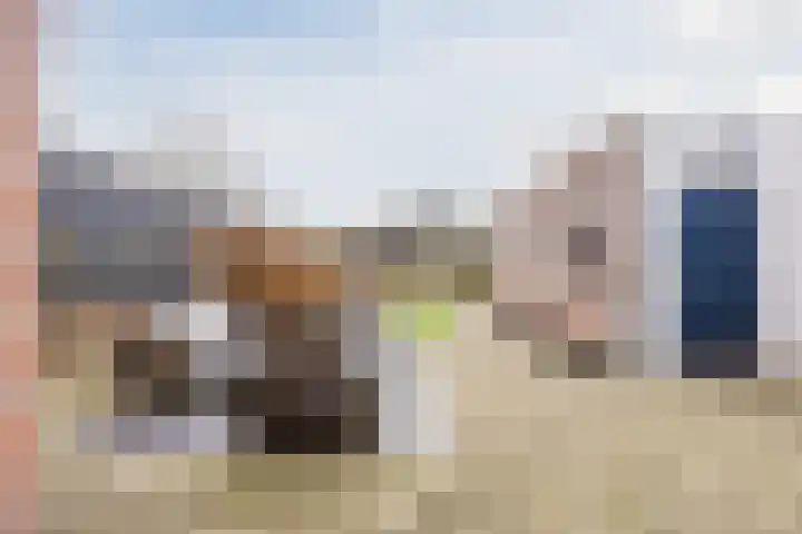 Grootveld 65 Boekel thumbnail 42