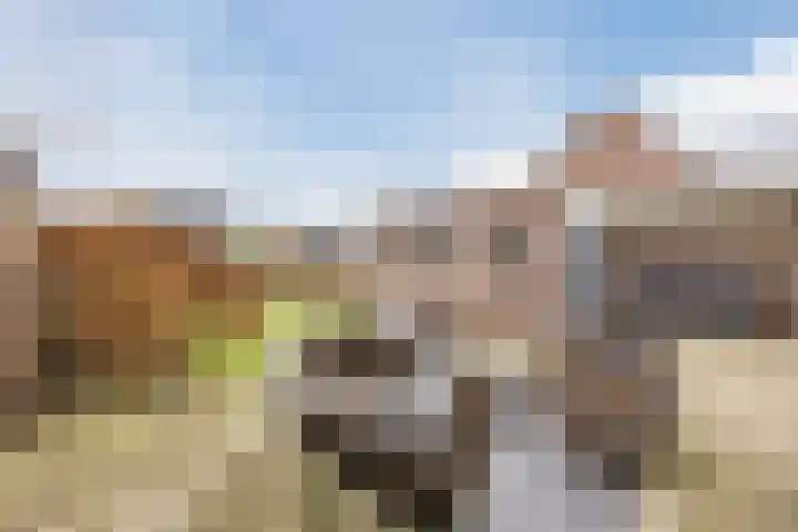 Grootveld 65 Boekel thumbnail 43