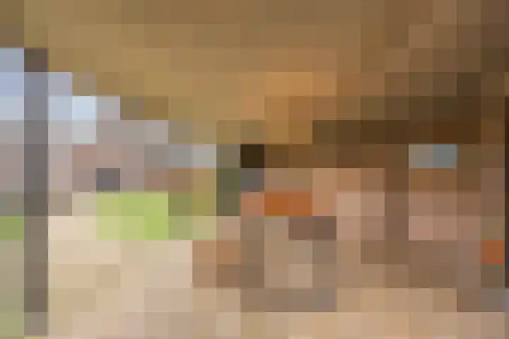 Grootveld 65 Boekel thumbnail 47