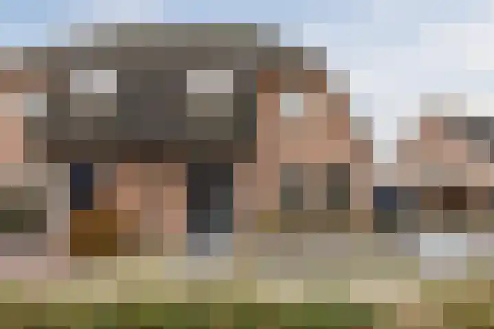 Grootveld 65 Boekel thumbnail 6