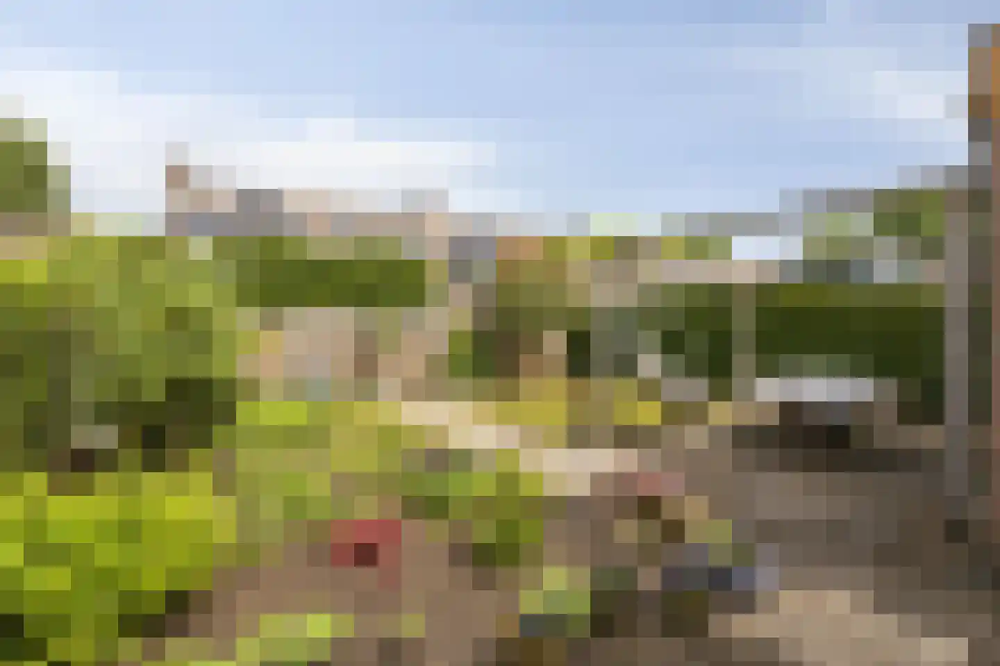 Grootveldschelaan 41 Malden thumbnail 35