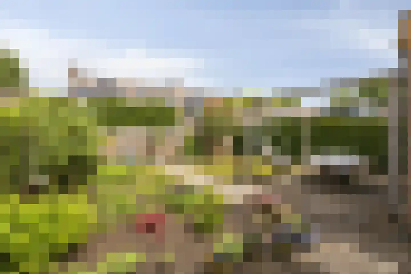 Grootveldschelaan 41 Malden thumbnail 35