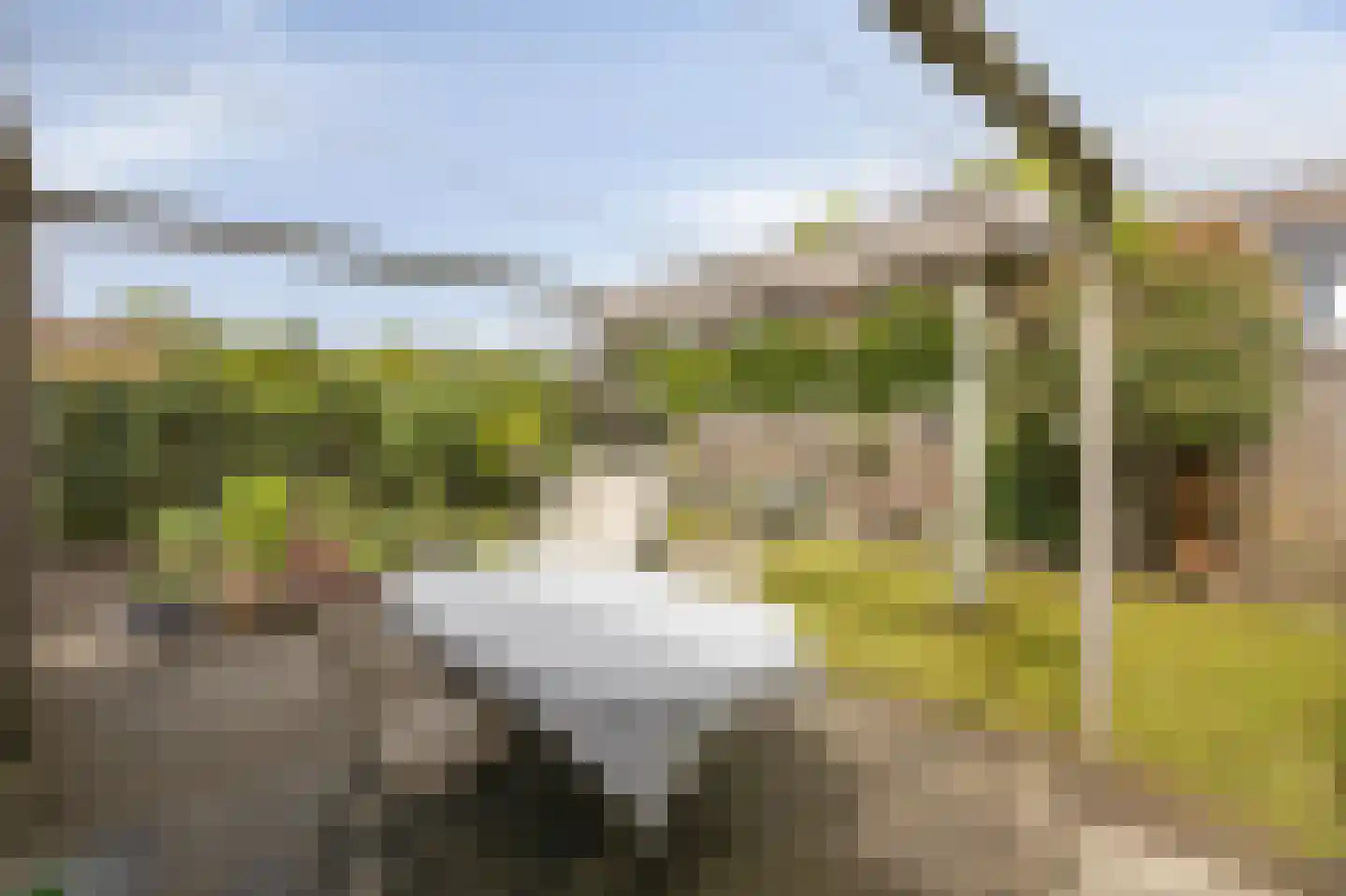 Grootveldschelaan 41 Malden thumbnail 36