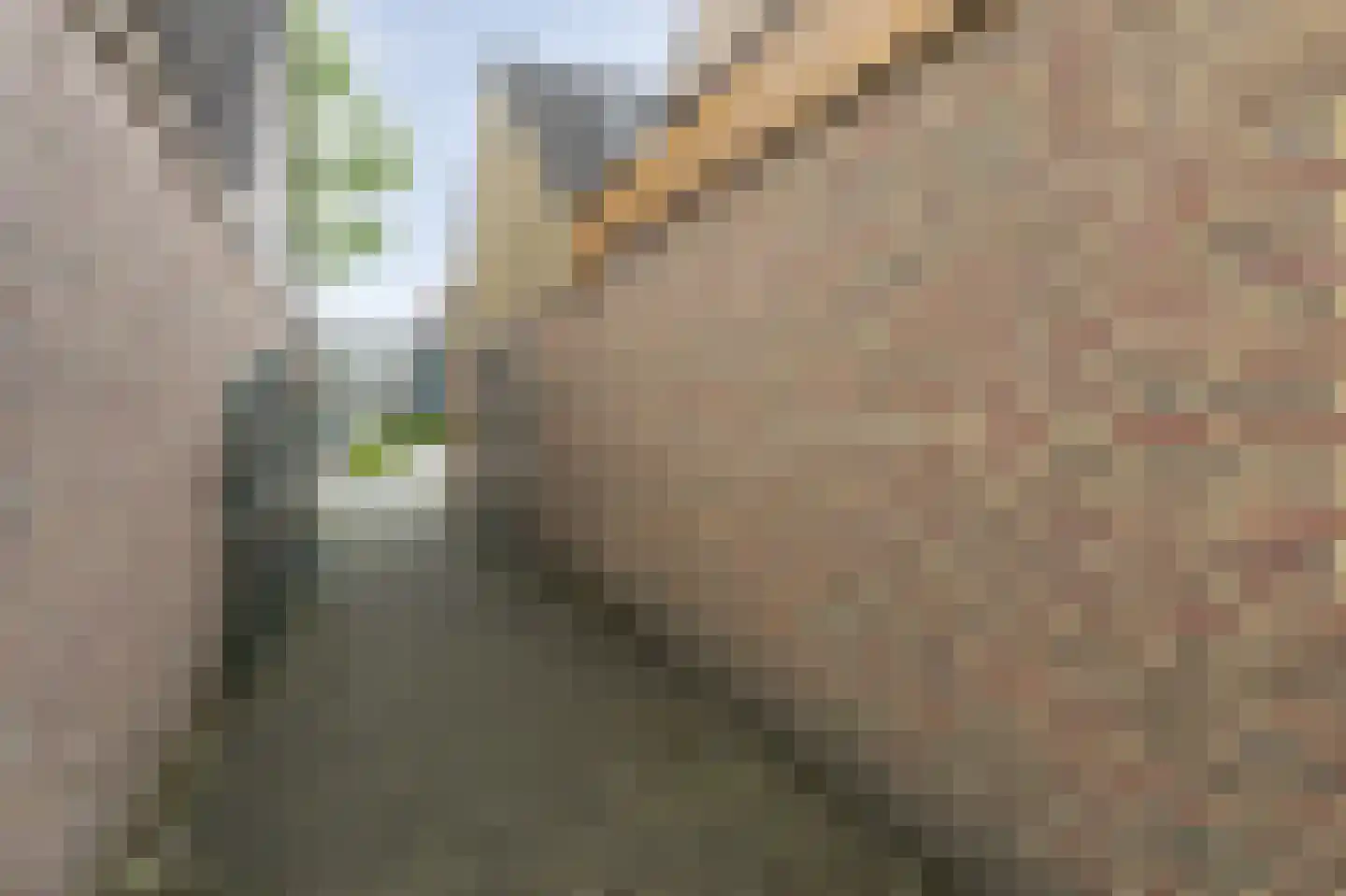 Grootveldschelaan 41 Malden thumbnail 41