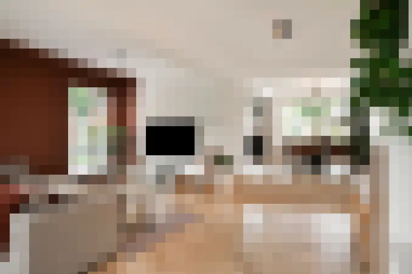 Grootveldstraat 1 Limbricht thumbnail 21
