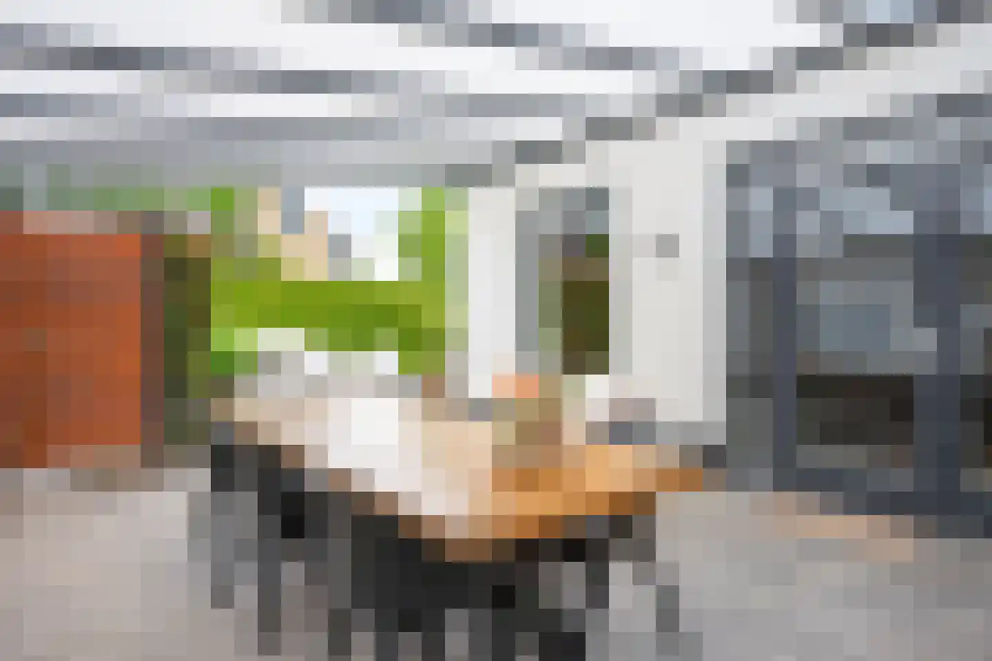 Grootveldstraat 1 Limbricht thumbnail 27