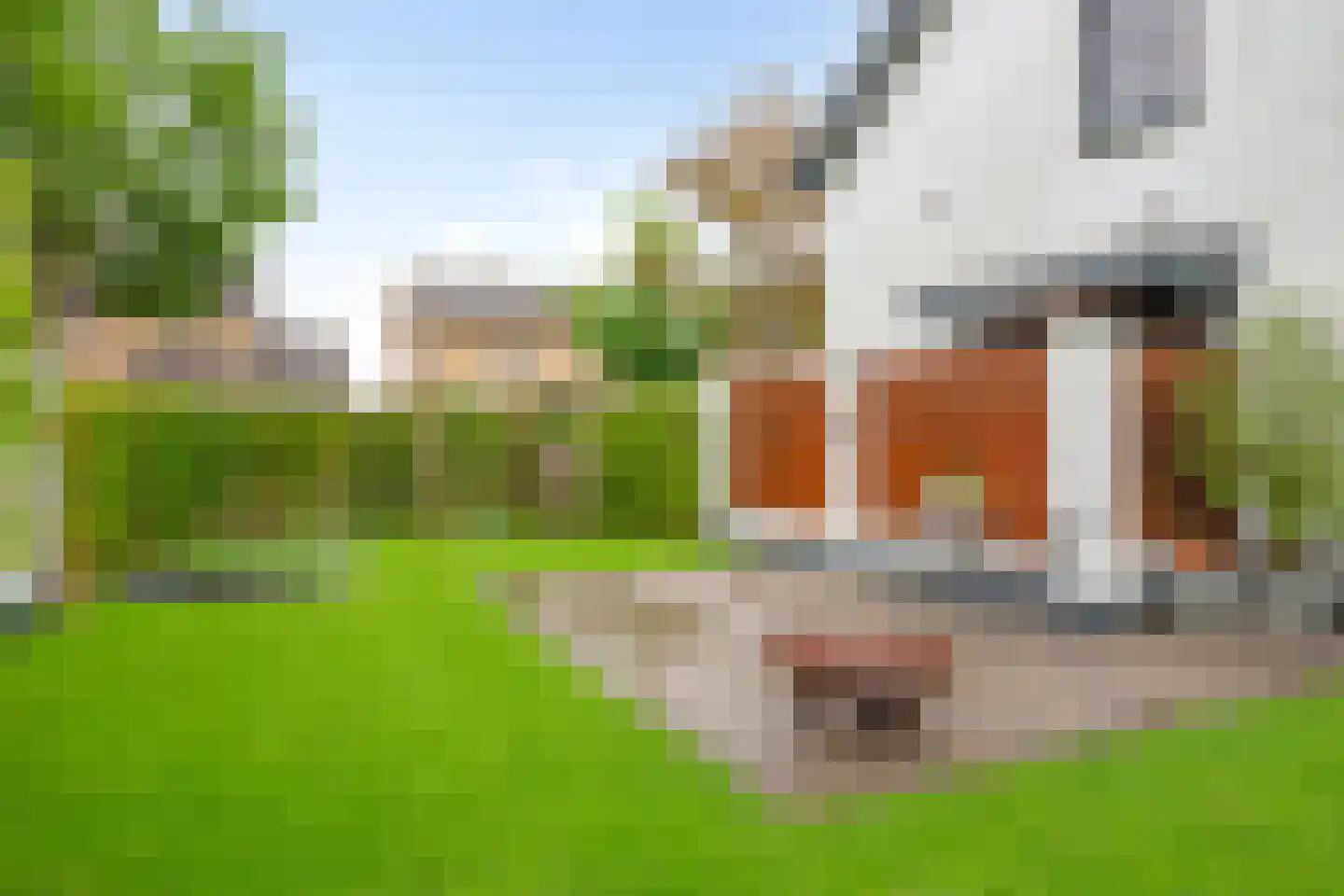 Grootveldstraat 1 Limbricht thumbnail 31
