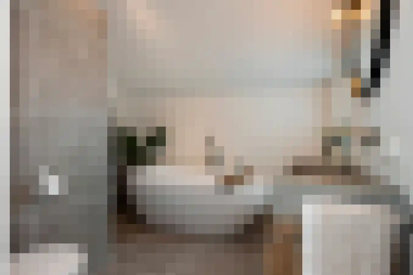 Grootveldstraat 1 Limbricht thumbnail 37