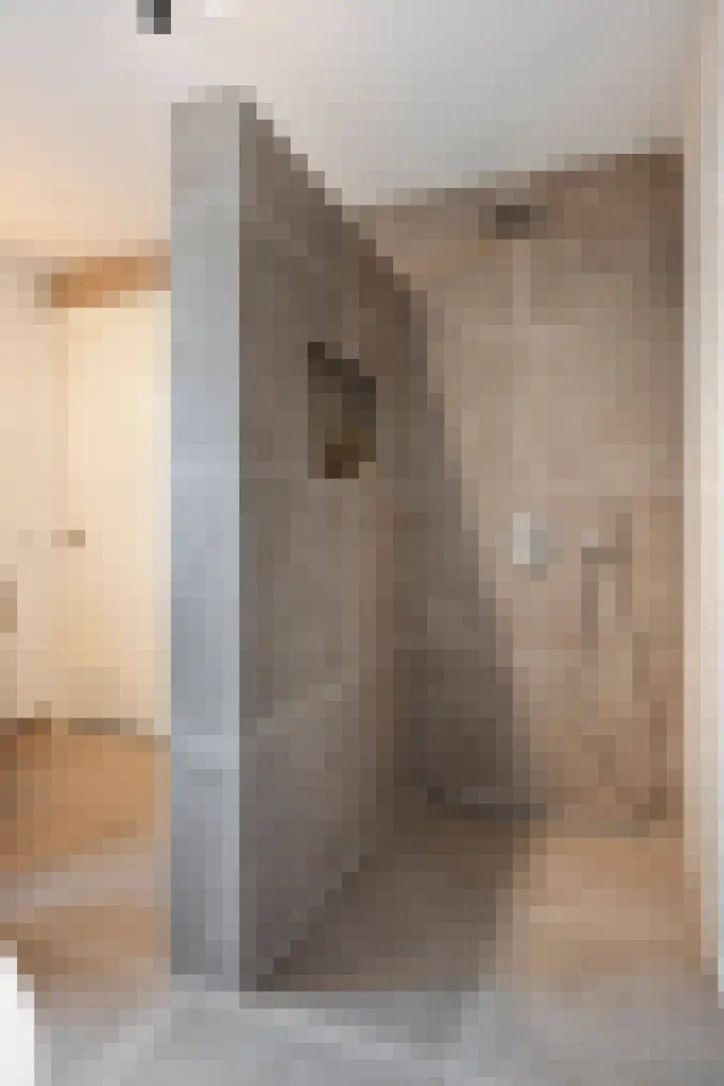 Grootveldstraat 1 Limbricht thumbnail 41
