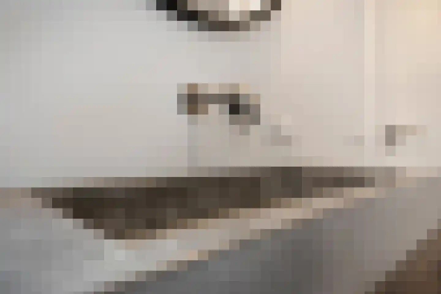 Grootveldstraat 1 Limbricht thumbnail 42