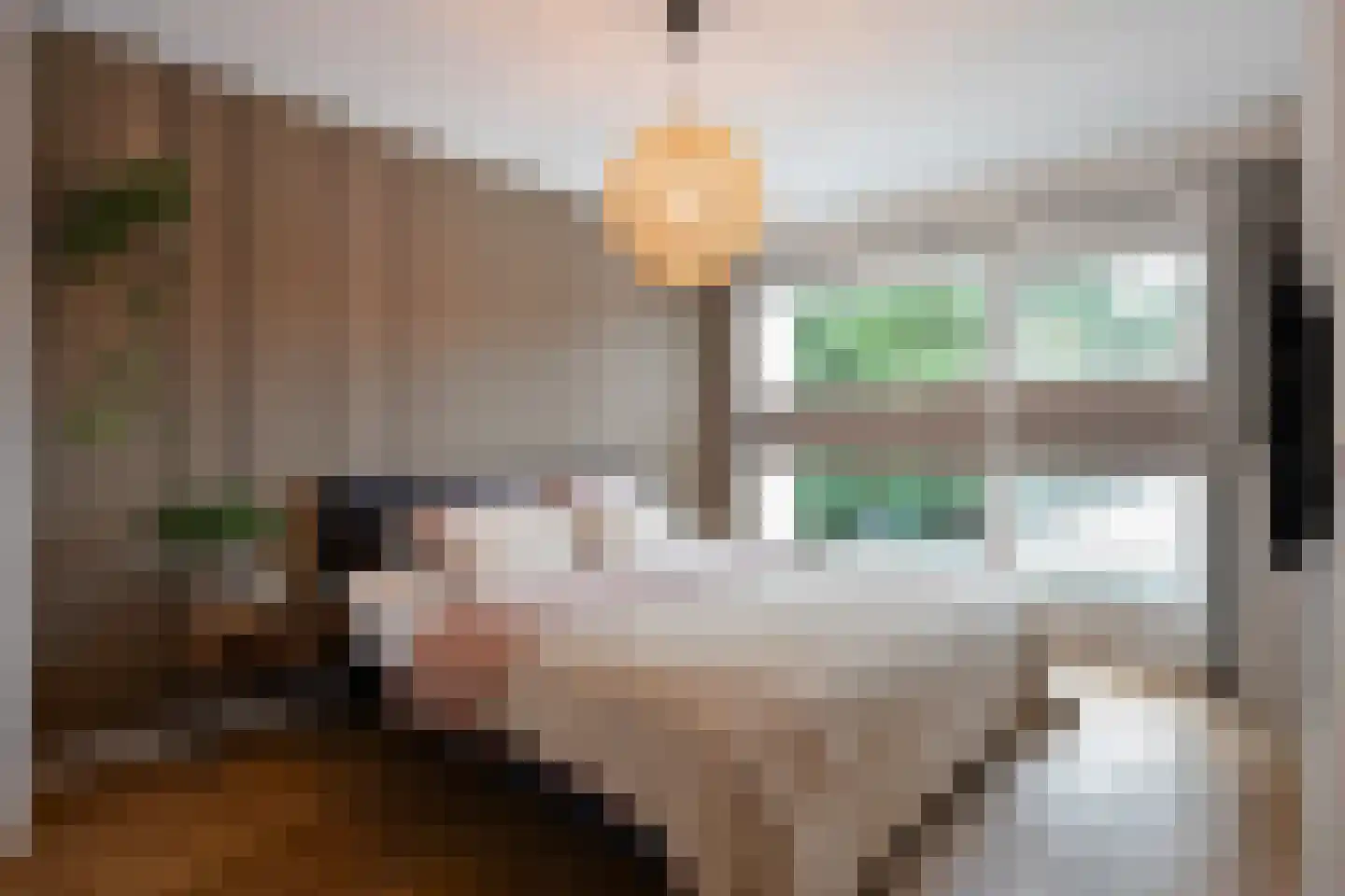 Grootveldstraat 1 Limbricht thumbnail 46