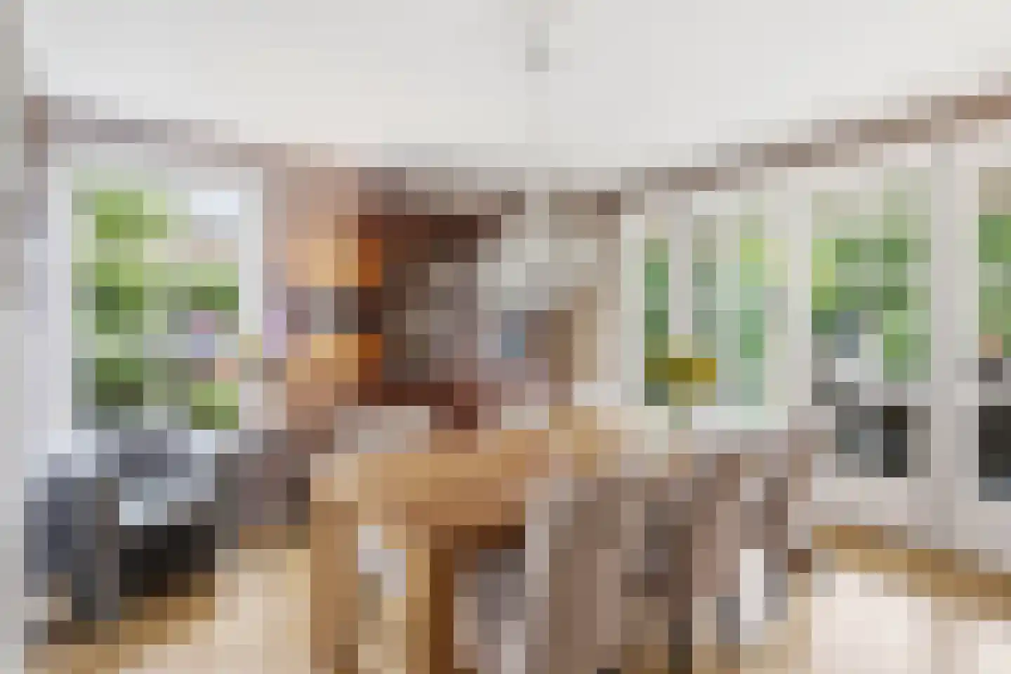 Grootvenseweg 3 a Sint Hubert thumbnail 10