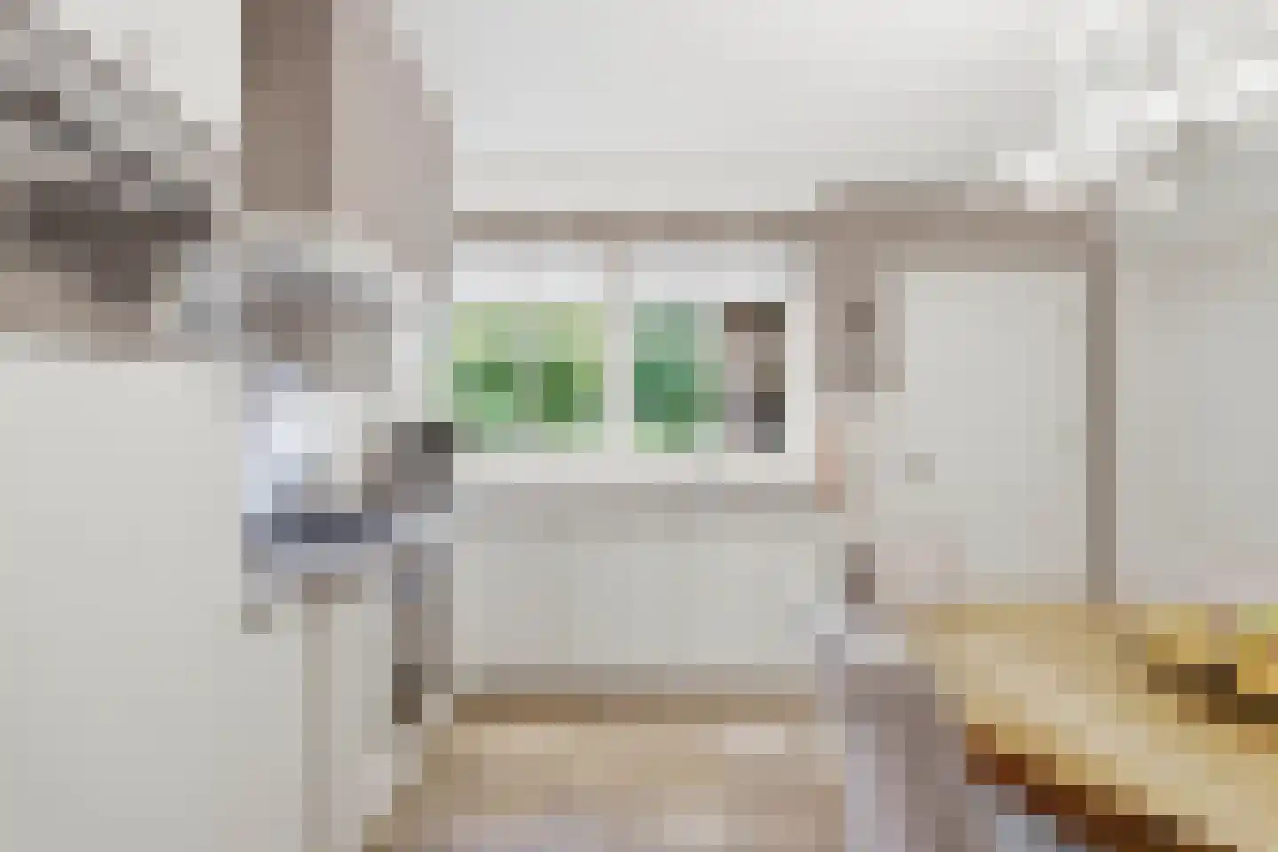 Grootvenseweg 3 a Sint Hubert thumbnail 13