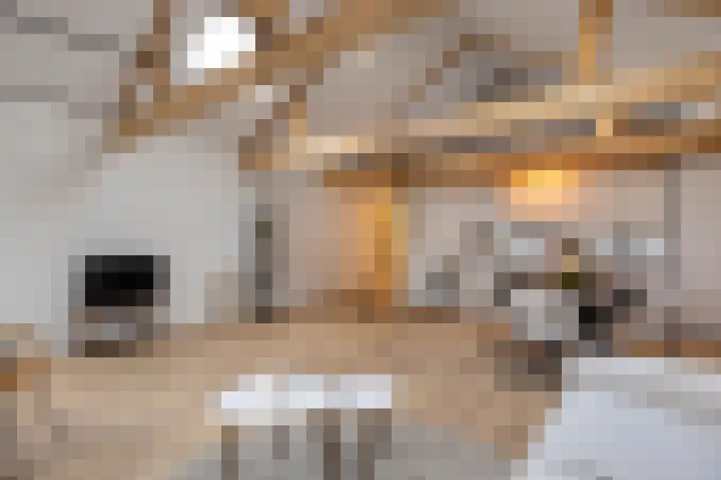 Grootzand 12 D Sneek thumbnail 19