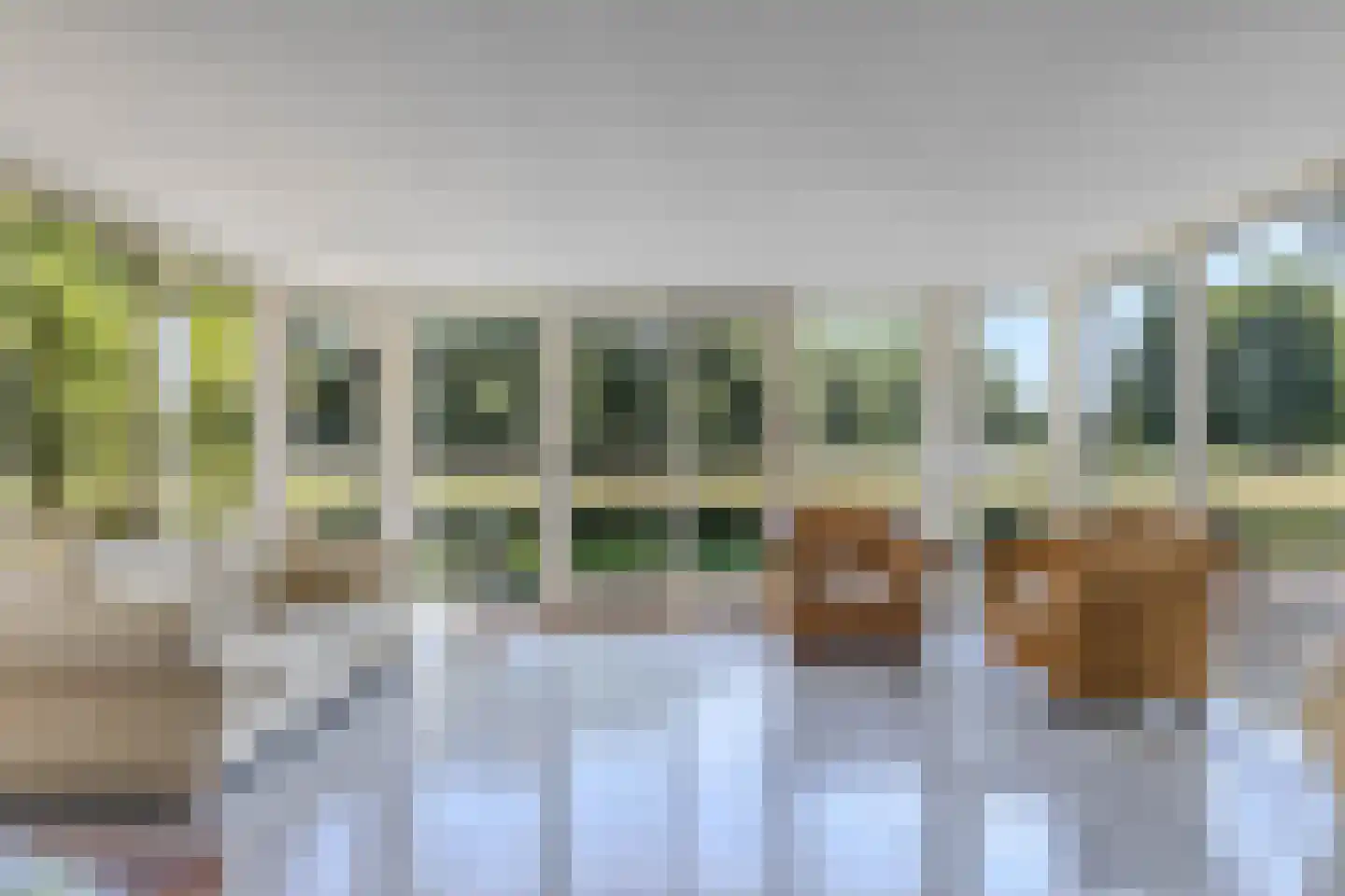 Grootzand 12 Drachten thumbnail 18