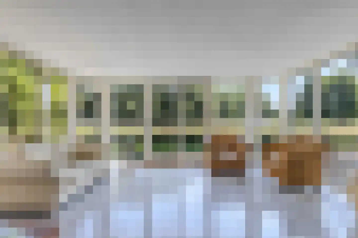 Grootzand 12 Drachten thumbnail 4