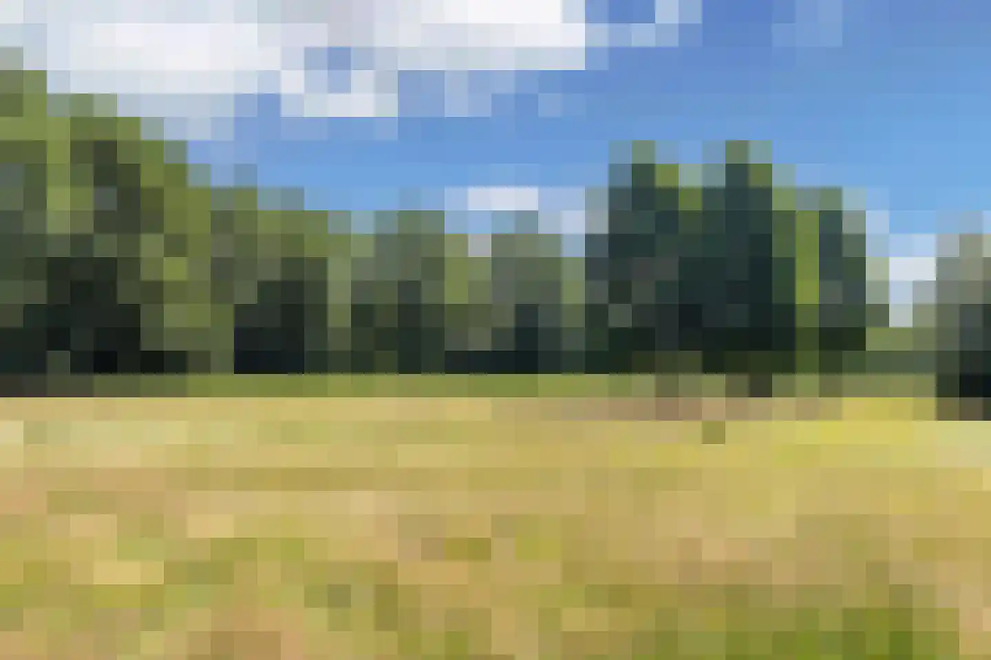 Grootzand 12 Drachten thumbnail 62
