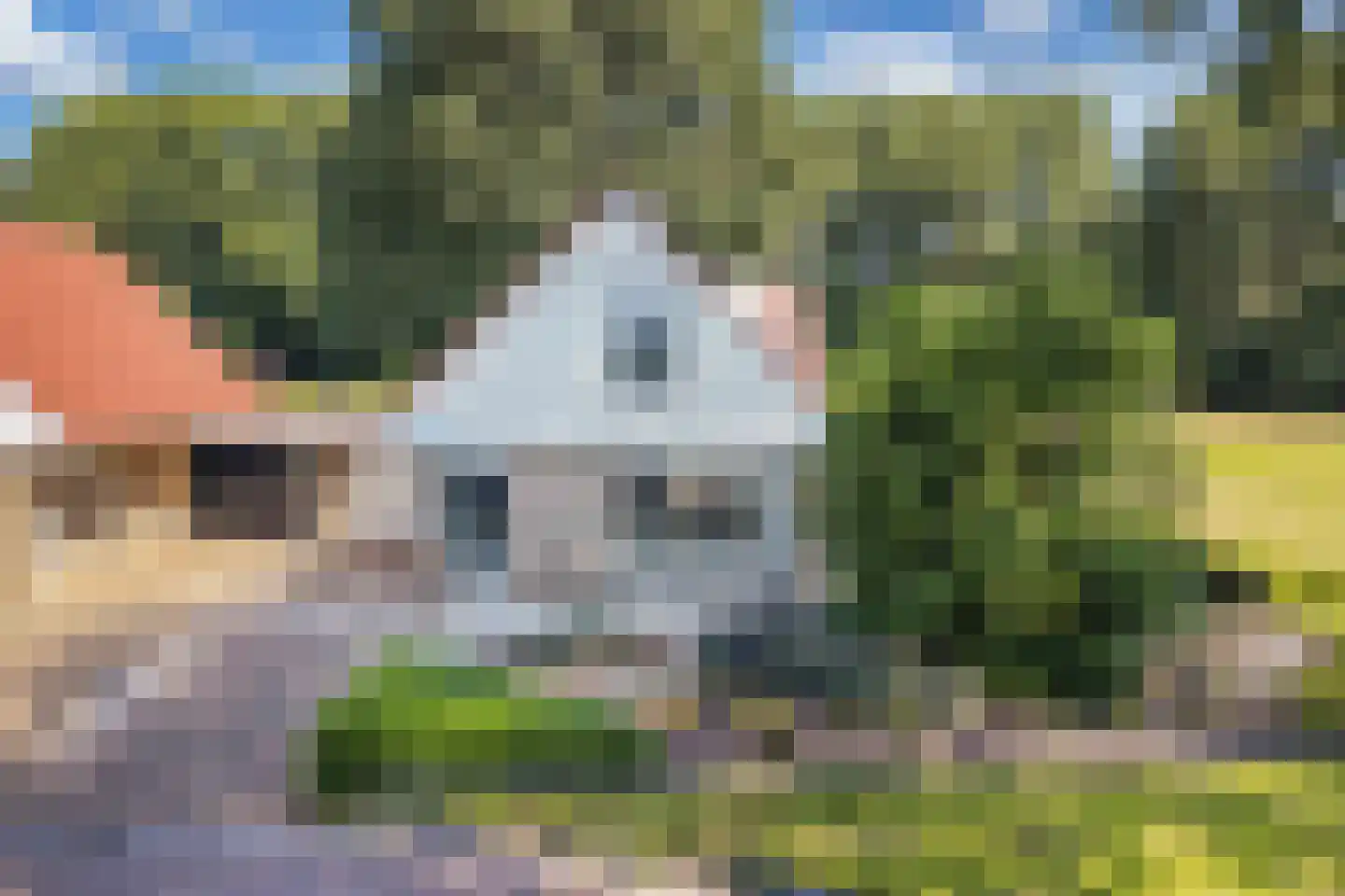 Grootzand 12 Drachten thumbnail 64