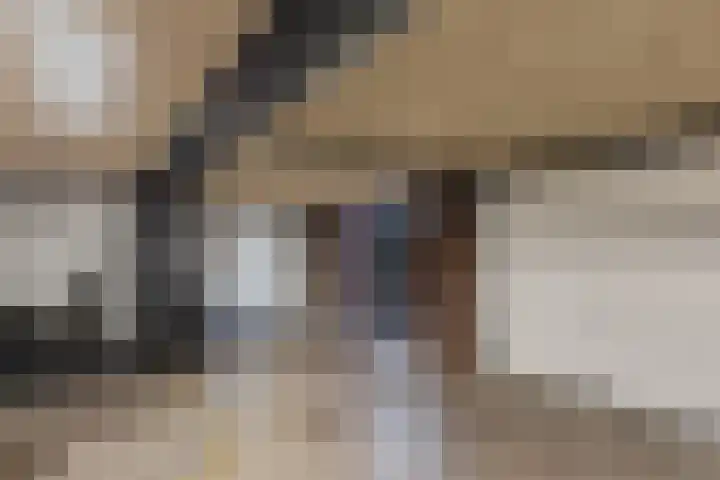 Grootzand 2 205 Bolsward thumbnail 36