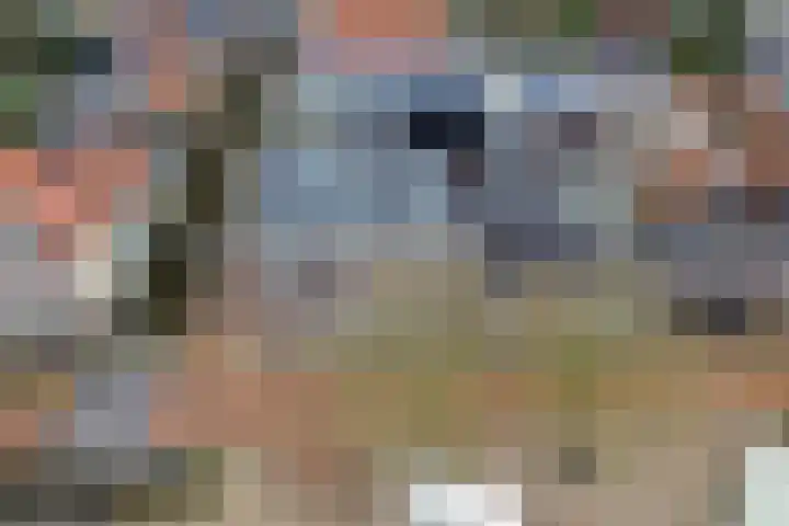 Grootzand 2 205 Bolsward thumbnail 44