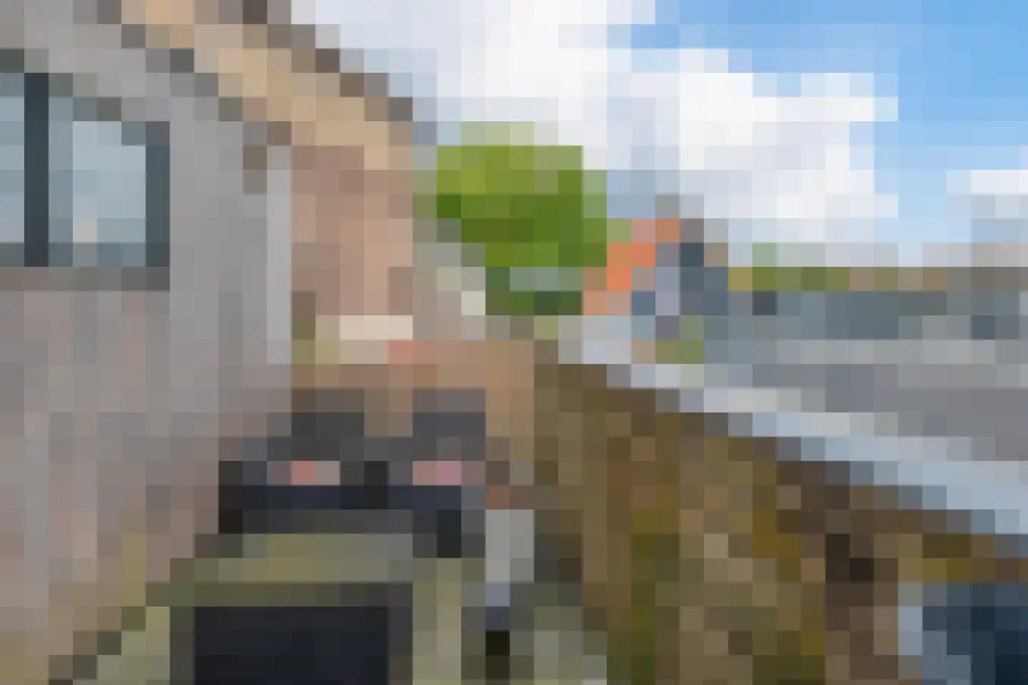 Grootzand 65 Sneek thumbnail 27