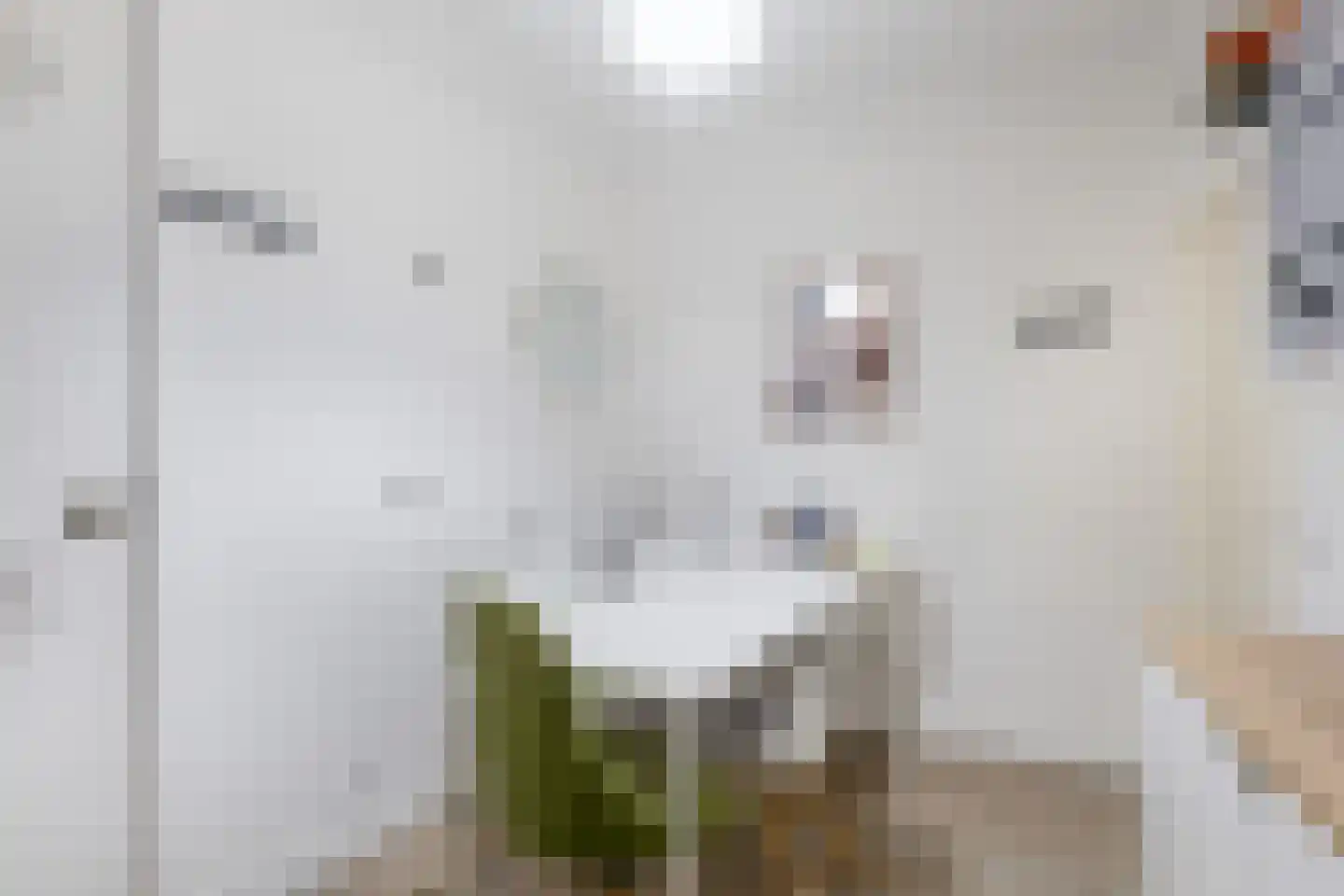 Grootzand 65 Sneek thumbnail 54