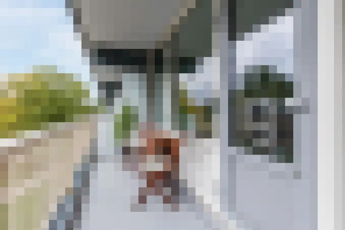 Grootzeil 111 Amsterdam thumbnail 21