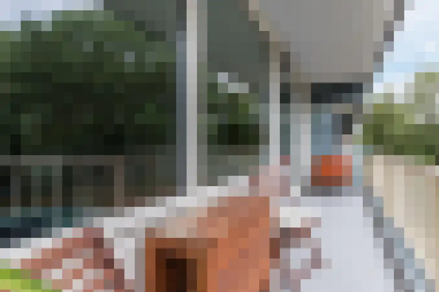 Grootzeil 111 Amsterdam thumbnail 22