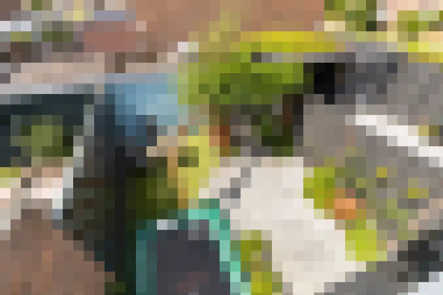 Grootzeil 17 Krimpen aan den IJssel thumbnail 20