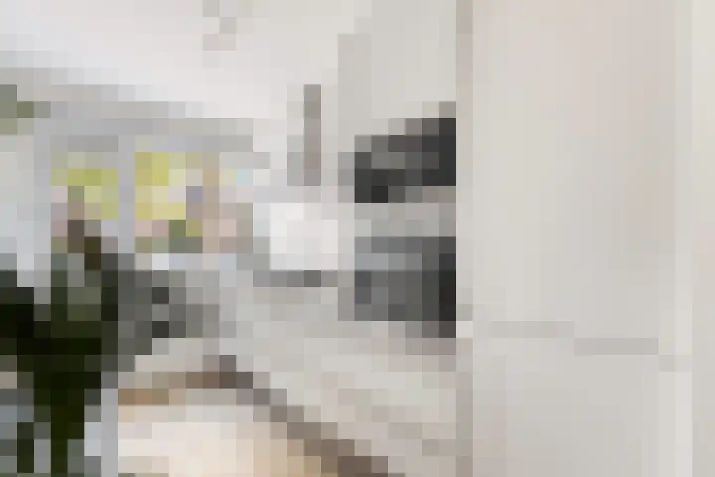 Grootzeil 17 Krimpen aan den IJssel thumbnail 4