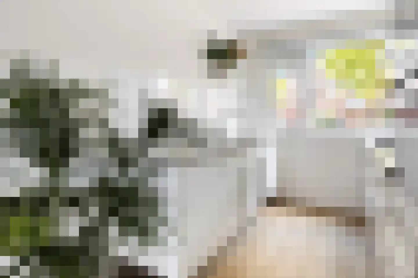 Grootzeil 17 Krimpen aan den IJssel thumbnail 5